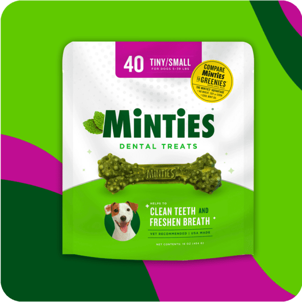 MINTIES Dog Dental Bone Treats, Small Dog Dental Chews , 40 Count